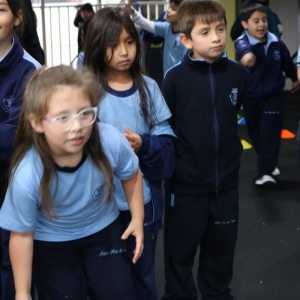 Día de la Actividad Física